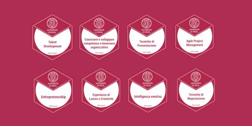 Grafica relativa alle compentenze trasversali acquisibili, ciascuna competenza all'interno di un esagono con logo UniPv