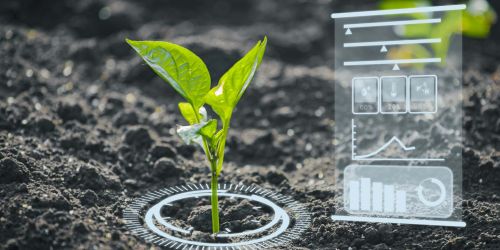 Piantina in un campo. In sovrimpressione scheda digitale con dati tecnici e statistiche