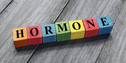 Scritta Hormone su cubetti di legno colorati