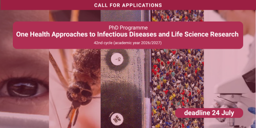 Copertina del bando di dottorato "One Health Approaches to Infectious Diseases and Life Science Research" (42° ciclo, a.a. 2026/2027). La scadenza per la presentazione delle domande è il 24 luglio. L'immagine include un collage fotografico con un occhio umano, una zanzara a ingrandimento, una capsula Petri, una folla di persone e un microscopio. In basso, i loghi INF-ACT e PhD One Health.