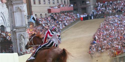 Palio di Siena: cavallo e cavaliere in primo piano e folla sullo sfondo