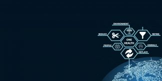 Grafica relativa ai principi delle 3 R (Reduction, Refinement and Replacement)