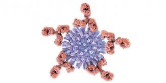 Hiv e anticorpi illustrazione 3d