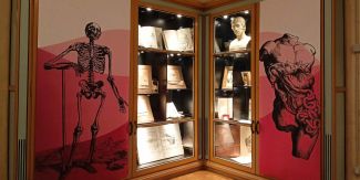Museo per la Storia Unipv, scorcio della mostra "Appunti per un viaggio nella bellezza del corpo umano"