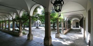 Cortile delle Magnolie, Università di Pavia
