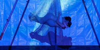 Momento acrobatico dello spettacolo "Can you sea?"