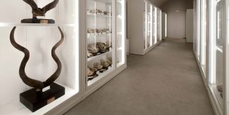 Depositi del Museo di Storia Naturale UniPv Kosmos 