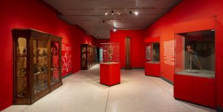 Una delle sale del Museo di Storia Naturale di Cremona