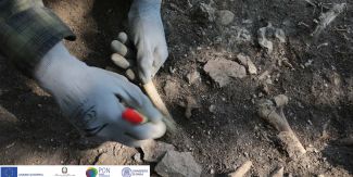 Scavi archeologici Dos dell'Arca, dettaglio su mani e reperti