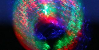 Dettaglio di un'opera di Alessandra Angelini esposta ad Arte Fiera 2015