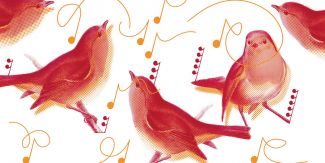 Disegno di uccellini e note musicali, rassegna musicale Collegio Ghislieri