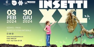 Copertina mostra INSETTI XXL