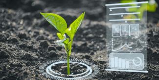 Piantina in un campo. In sovrimpressione scheda digitale con dati tecnici e statistiche