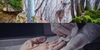 Collage di due fotogrammi dai corti "Even Tide" e "Sconosciuti puri"