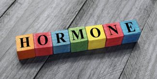 Scritta Hormone su cubetti di legno colorati