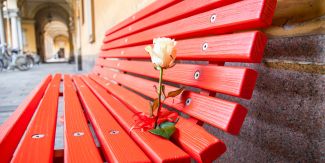 Panchina rossa nei cortili dell'Università di Pavia con rosa bianca
