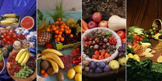 Collage con foto di cibi vari: verdure, frutta, semi