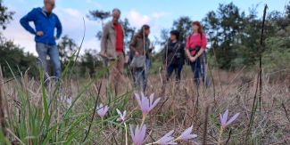 Visita ai Boschi della Fagiana