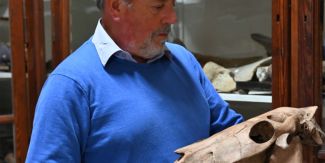 Paolo Guaschi, curatore della sezione di Paleontologia del Museo Kosmos, con un reperto conservato nel Museo di Storia Naturale UniPv