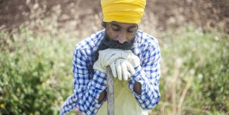 Fotogramma da "The Harvest"