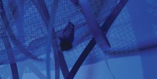 Dettaglio di un'opera di Sue Kim