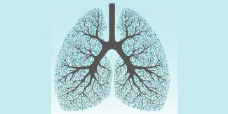 Disegno stilizzato di due polmoni