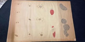 Una delle tavole parietali di inizio Novecento, utilizzate nell’insegnamento della microbiologia