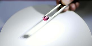 Dettaglio su mano che tiene pinze con gemma color cremisi