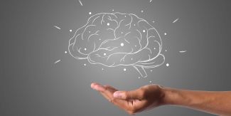 Palmo di una mano rivolto verso l'alto, sopra di lui disegno di un cervello