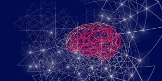 Riproduzione stilizzata di un cervello e delle sue reti neurali