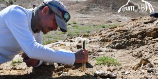 Federico Fanti sul campo, mentre cerca reperti fossili