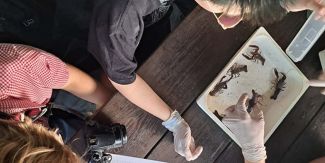 Gli studenti analizzano alcuni esemplari di gamberi