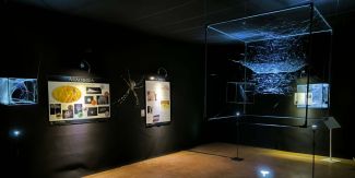 Foto dalla mostra Arachnida con pannelli appesi informativi appesi alle pareti e riproduzione di una ragnatela