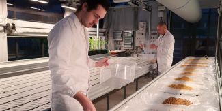 Protocolli di seed priming applicati a specie leguminose neglette. Immagine della procedura effettuata presso la serra sperimentale del Dipartimento di Biologia e Biotecnologie - UniPv