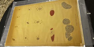 Tavola didattica conservata presso il Museo Camillo Golgi dell'Università di Pavia