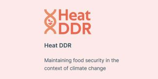 Logo del progetto Heat DDR