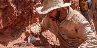 Simone Maganuco al lavoro sul campo come paleontologo.