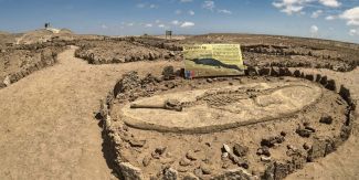Esemplare fossile di gaviale