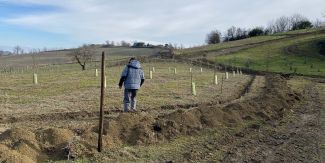 Impianto di fertirrigazione presso Valentini Germano Impresa Agricola (Cà Albertini, 2 – 27047 – Santa Maria della Versa – PV)