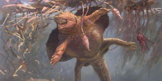 Riproduzione pittorica di un macroplaco troco