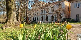 Tulipani all'Orto botanico dell'Università di Pavia
