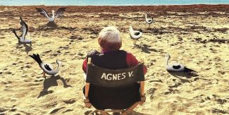 Immagine tratta da "Varda par Agnès" raffigurante la regista seduta di spalle sulla sedia di regia in spiaggia circondata da gabbiani mentre guarda il mare.