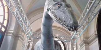Uno dei modelli di animali preistorici esposti nella mostra "Oceani perduti"