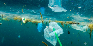 Rifiuti di plastica, tra cui sacchetti, coperchi e una cannuccia verde, fluttuano nell'acqua marina inquinata insieme a frammenti vegetali e detriti.