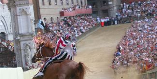 Palio di Siena: cavallo e cavaliere in primo piano e folla sullo sfondo