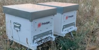 Gli apiari di Parco Cardano