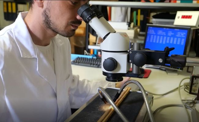 Ricercatore che compie analisi dendrocronologiche