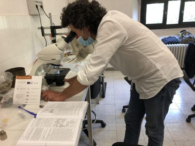 Ricercatore durante analisi floristica al microscopio