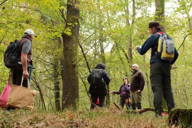 La squadra di campionamento nel bosco