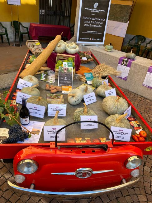 Varietà agricole locali esposte sul pianale di auto